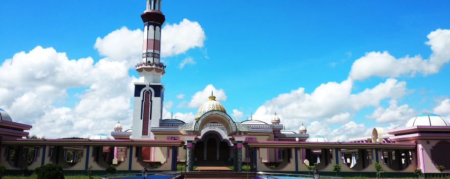 Wazirpur Upazila
