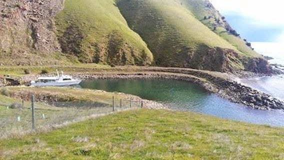 Kangaroo Island Fishing Adventures