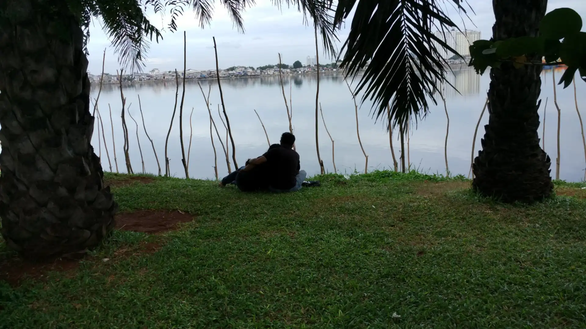 Hotels near Taman Waduk Pluit