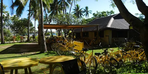 Bula Bikes