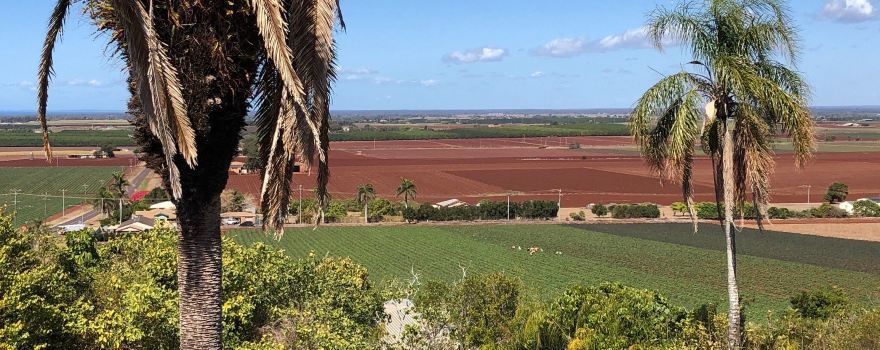 The Hummock Lookout