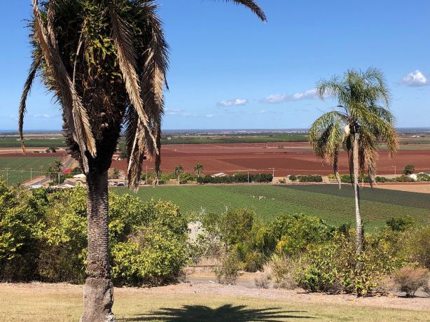 The Hummock Lookout