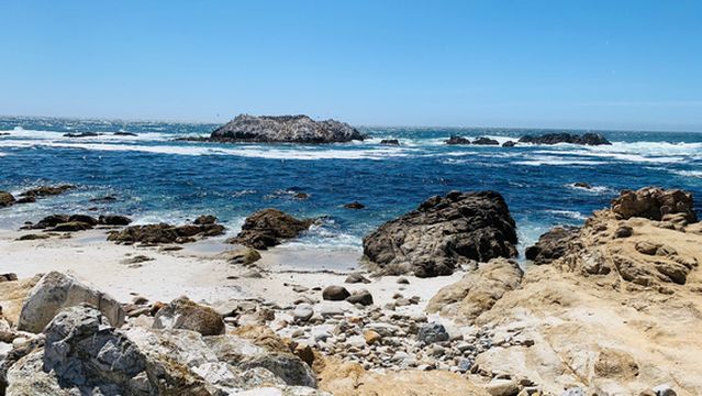 Bird Rock Vista Point