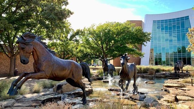Midwestern State University