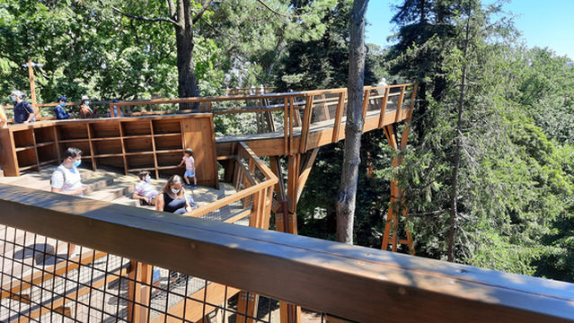 Treetop Walk Serralves
