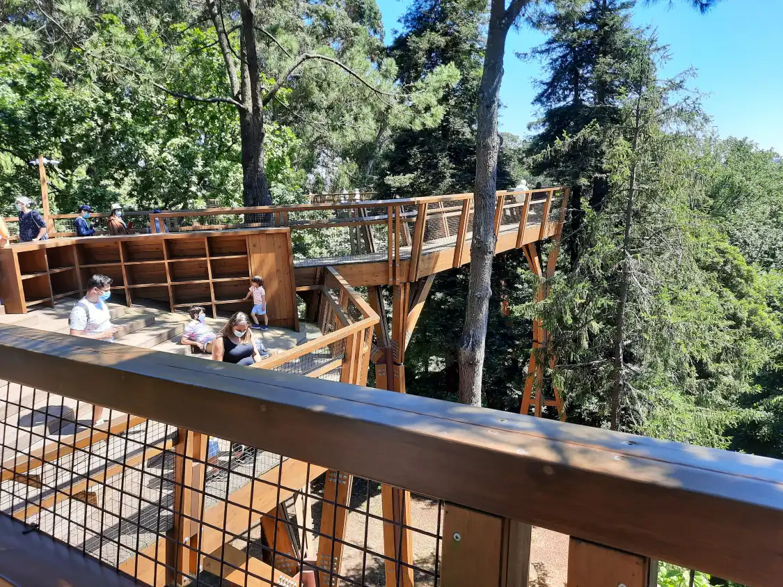 Hotels near Treetop Walk Serralves