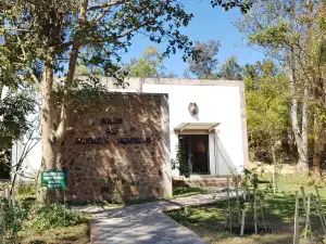 Galerie d'Art Contemporain du Musee D'Art de Lubumbashi