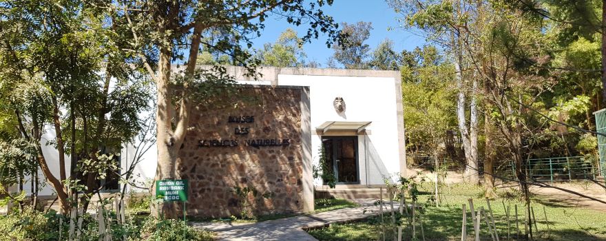 Galerie d'Art Contemporain du Musee D'Art de Lubumbashi