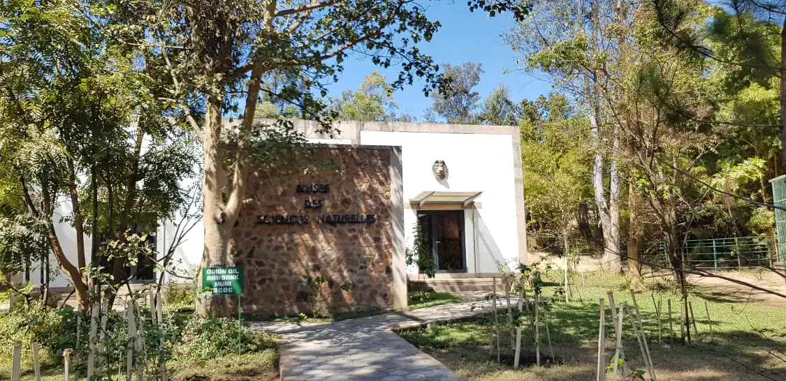 Hotels near Galerie d'Art Contemporain du Musee D'Art de Lubumbashi