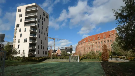 Janseniuspark