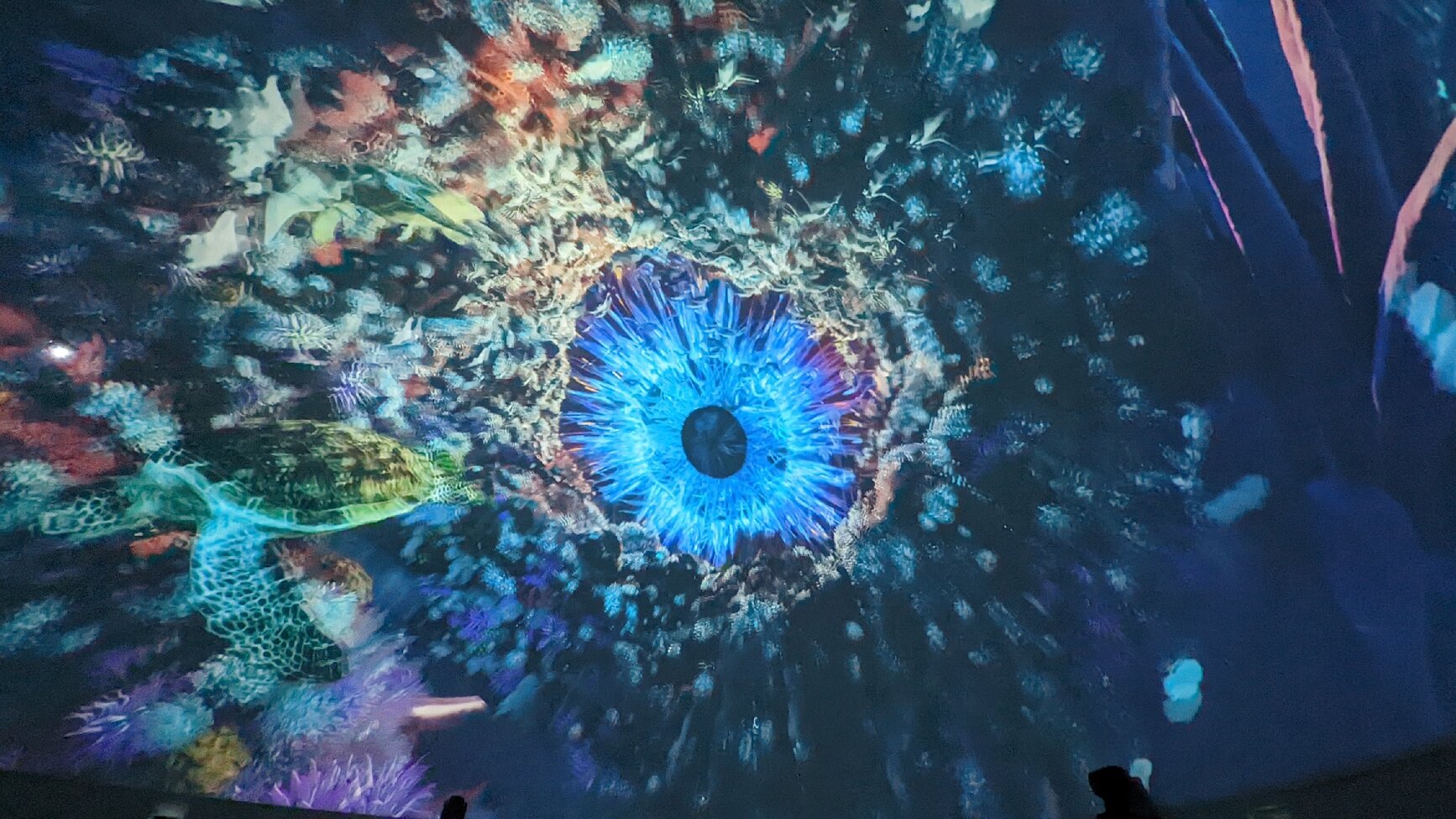 東京 コニカミノルタ プラネタリアTOKYO 入場Eチケット 予約