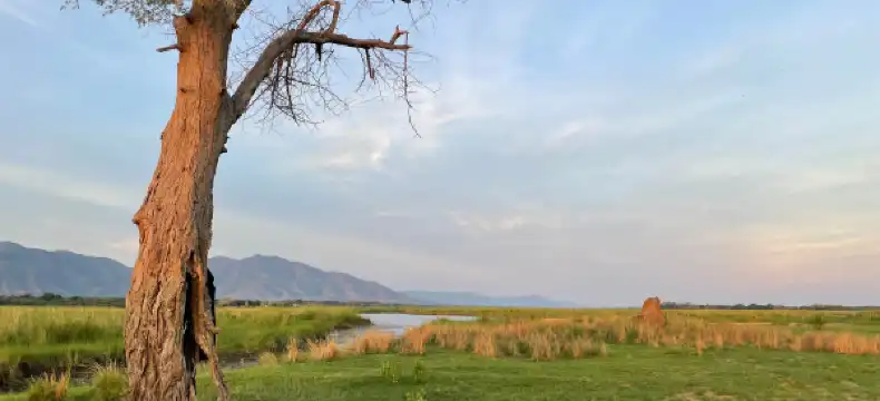 Hotels in Siavonga