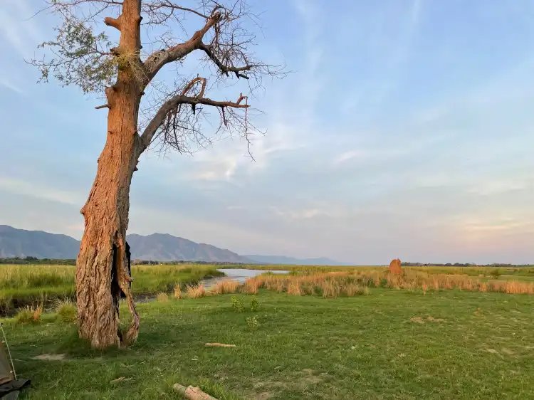 Hotels in Siavonga