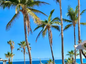 Tres Palapas Pickleball Complex