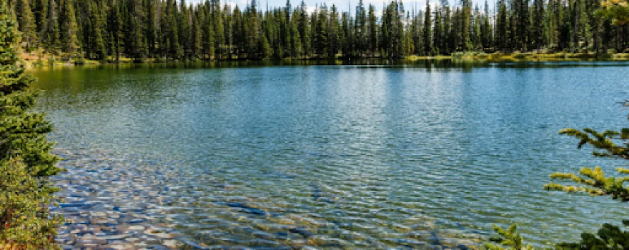 Lake Gunnison