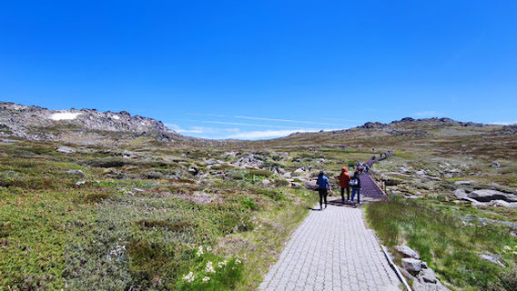 Kosciuszko Walk sign