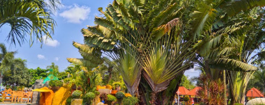 Villa Esperanza Resort