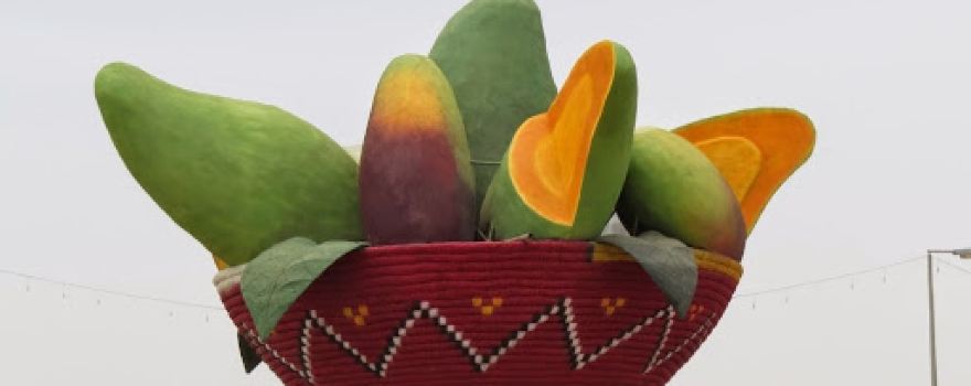 Mango Roundabout
