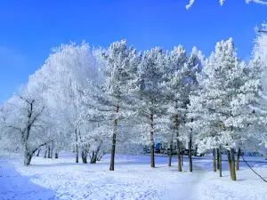 Yevropa-Kinomir