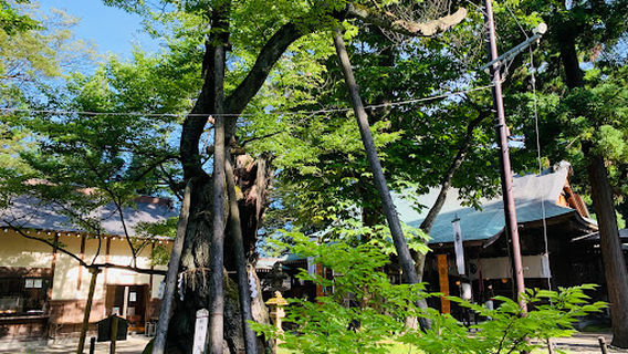 Kogaikuni Shrine
