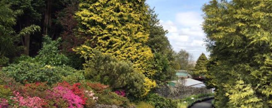 Foxfield Garden Centre