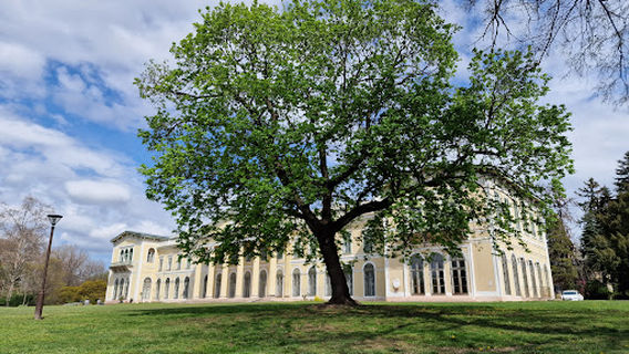 Károlyi Kastély Park