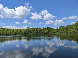 Lily Lake County Park