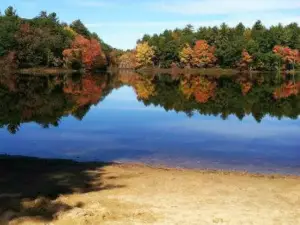 Pine Acres Campground