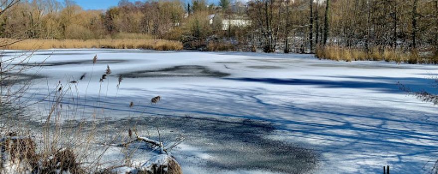 lac du casino