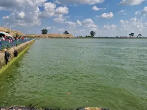 BHARAT TAAL