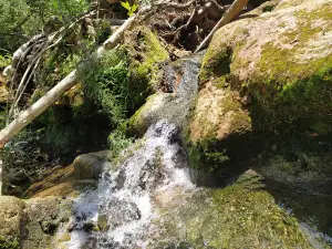 Nahal Betset