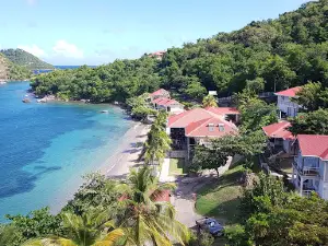 Basse-Terre Market