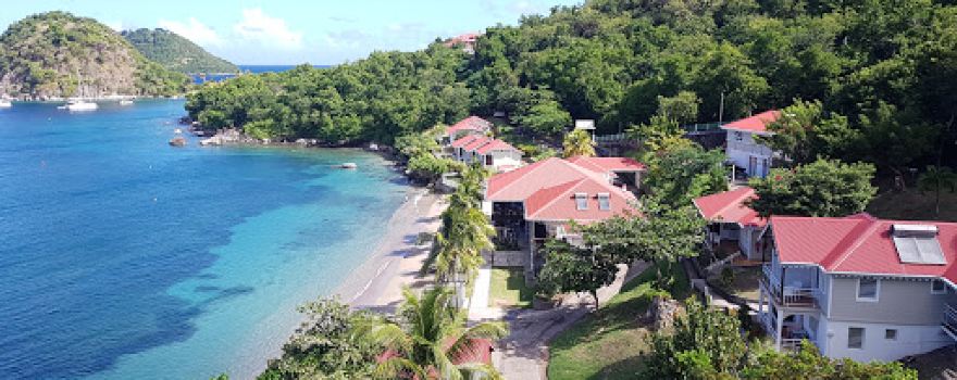 Basse-Terre Market