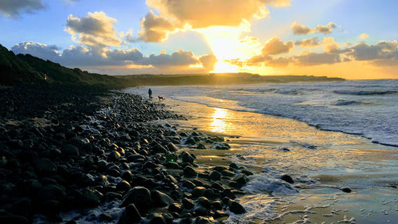 Bushmills