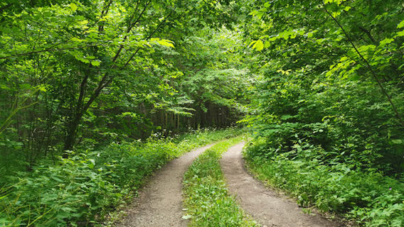 Vishtynetskiy Ekologo-Istoricheskiy Muzey