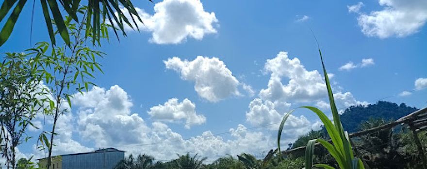 Sandai
