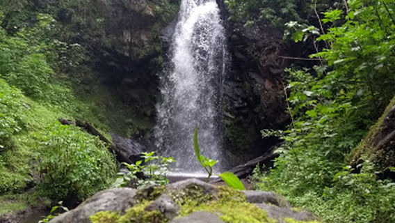 Club de Golf Rancho Viejo