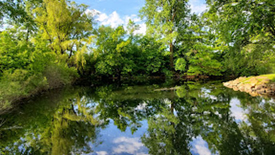 Kaplan Woods Mountain Bike Trailhead