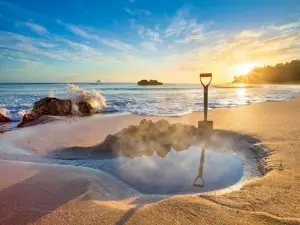 Coromandel Shelly Beach TOP 10 Holiday Park