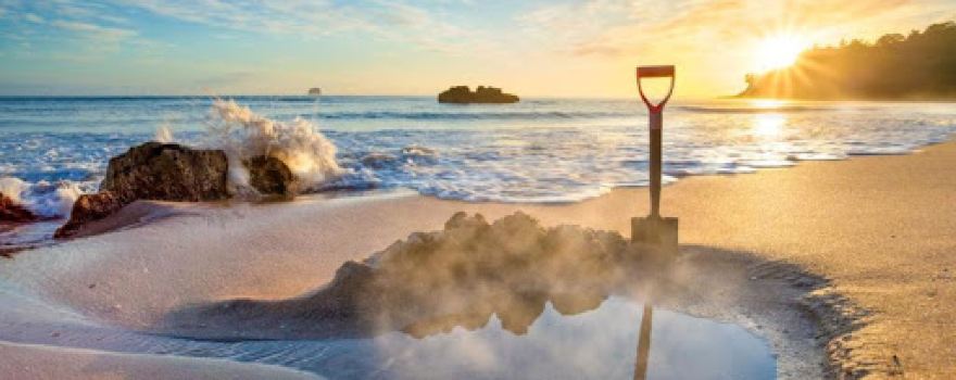 Coromandel Shelly Beach TOP 10 Holiday Park