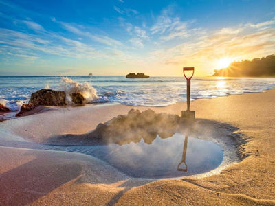 Coromandel Shelly Beach TOP 10 Holiday Park