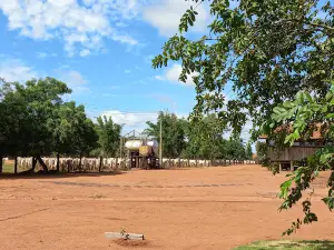 Fazenda Perobal