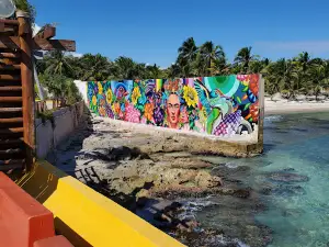 Costa Maya Chunky Monkey Tours