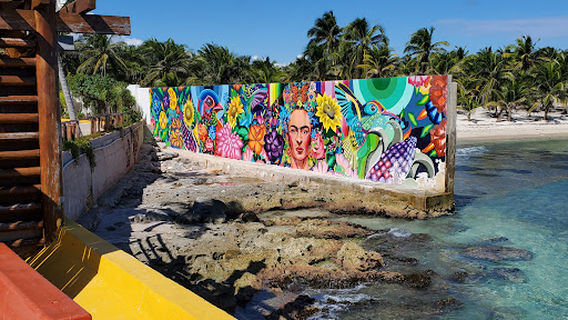 Costa Maya Chunky Monkey Tours