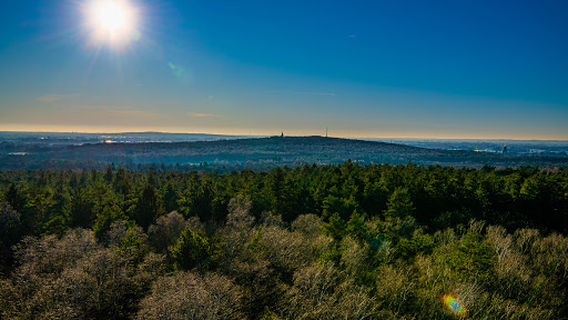 Watchtower Montferland - Nature Reserves