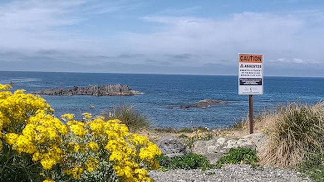 Ocean Beach Freedom Camping