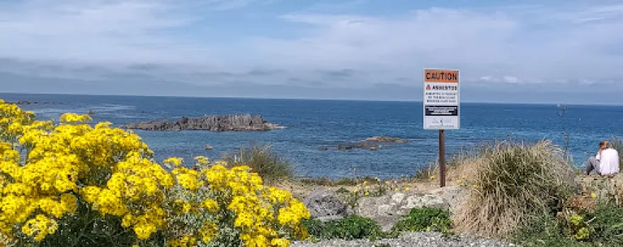 Ocean Beach Freedom Camping