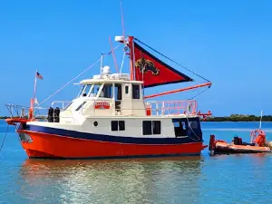 Paradise Cycle Boat Cruises