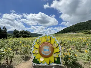 Mutsumi Flower Road