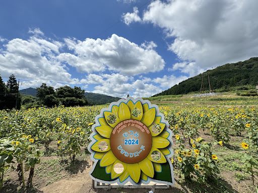 Mutsumi Flower Road